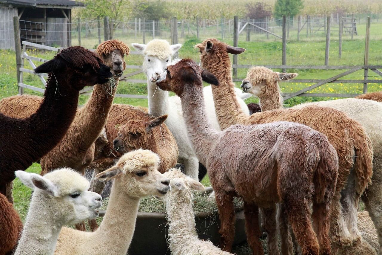 콜롬비아 여행 가이드: 보고타, 메데진, 카르타헤나 탐방