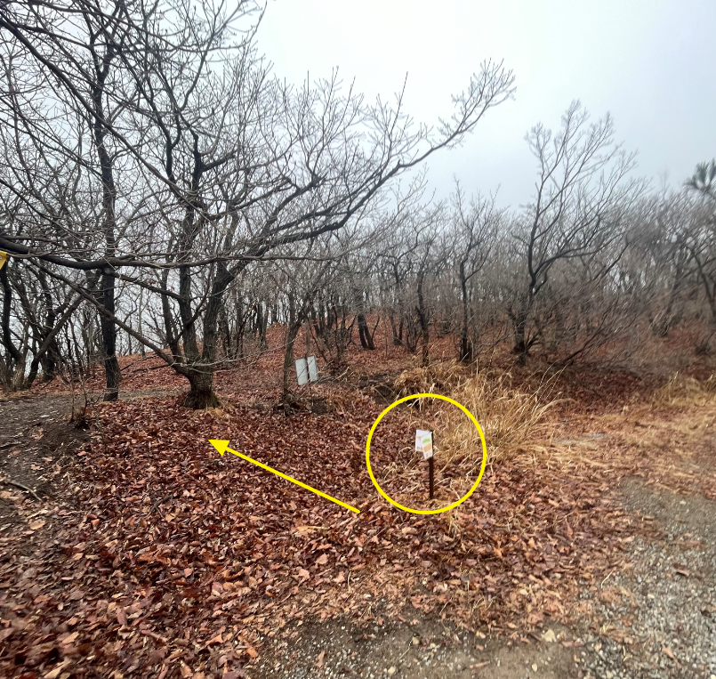 제2봉 가는길