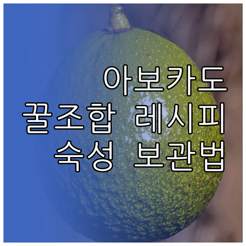 아보카도 샌드위치 레시피 필수 재료와..