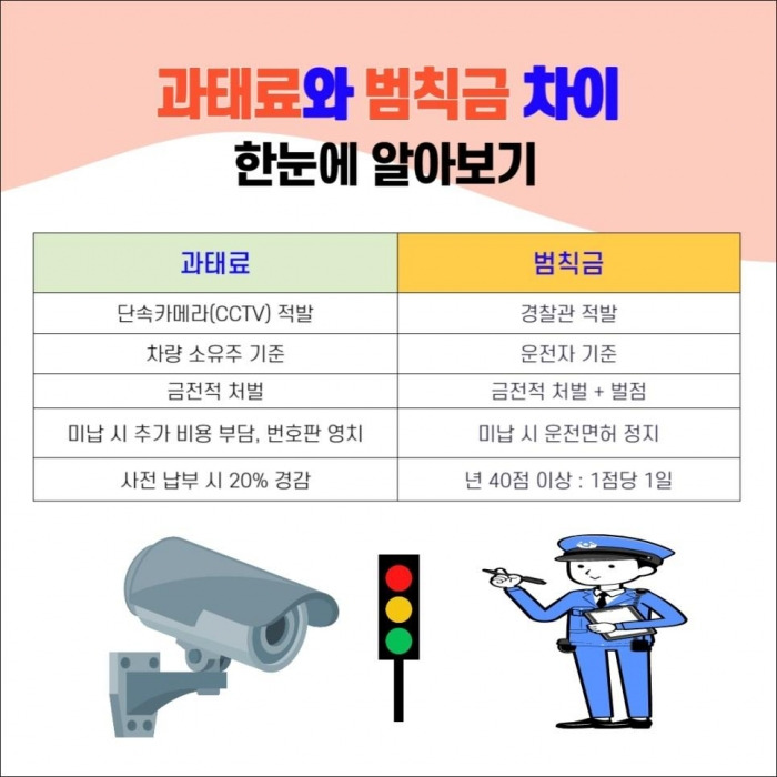 행정벌과 범칙금을 비교한 표