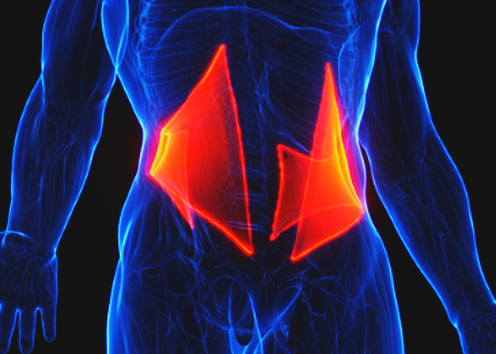 외복사근 통증 원인 알아보기