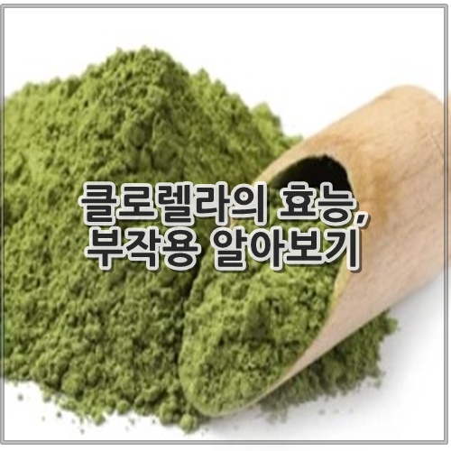 클로렐라의 효능, 부작용 알아보기
