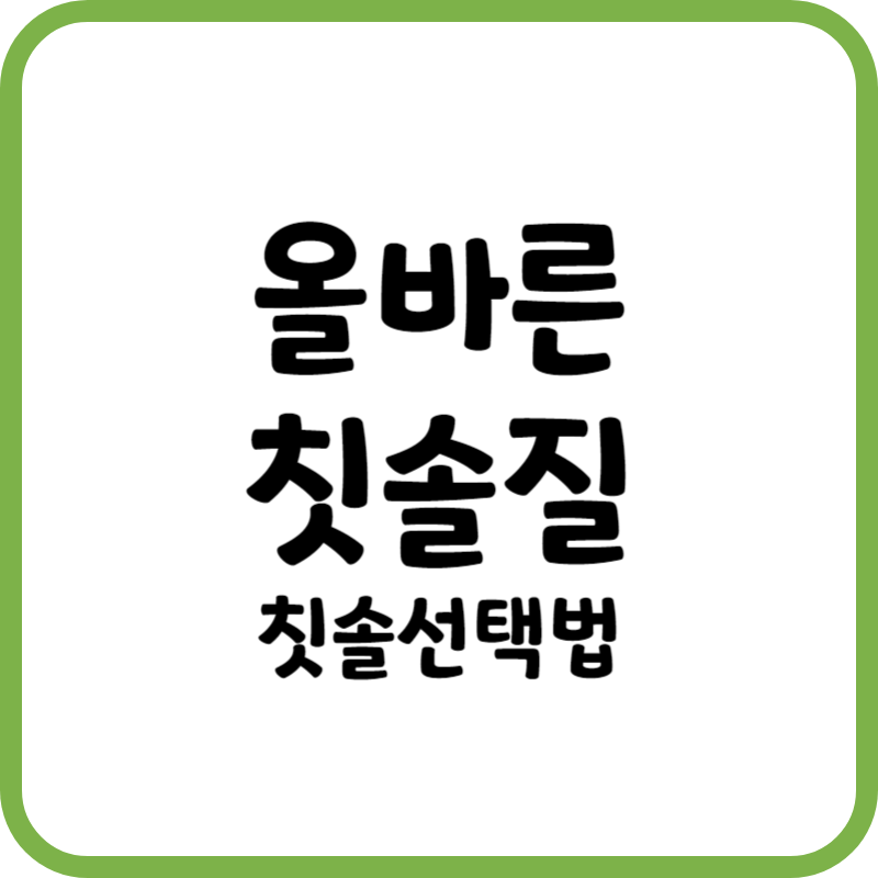 올바른 칫솔질 방법