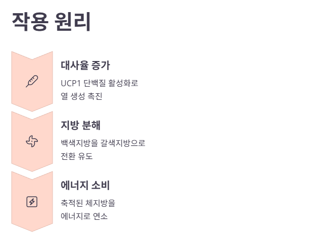 잔티젠(Xanthigen)이란 무엇이며, 어떤 원리로 작용할까요?
