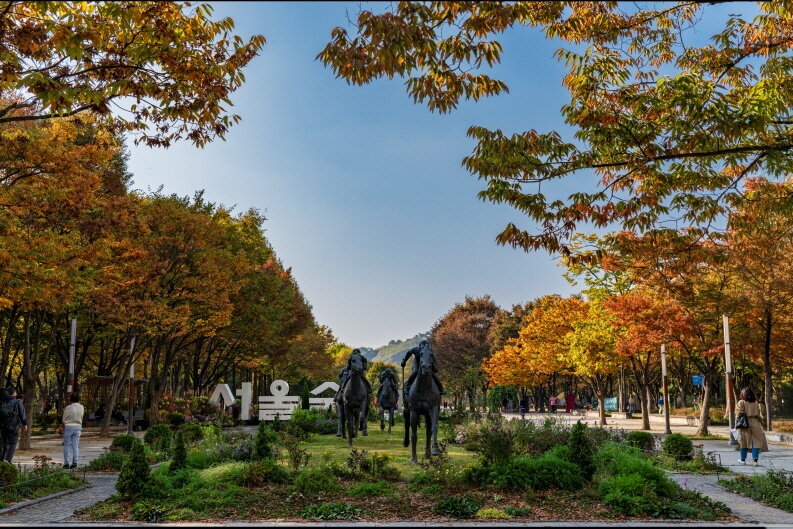 가을엔 강아지와 단풍길 산책! 반려견 동반 명소 총정리