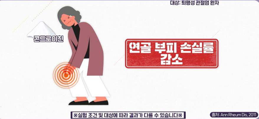 콘드로이친 효능