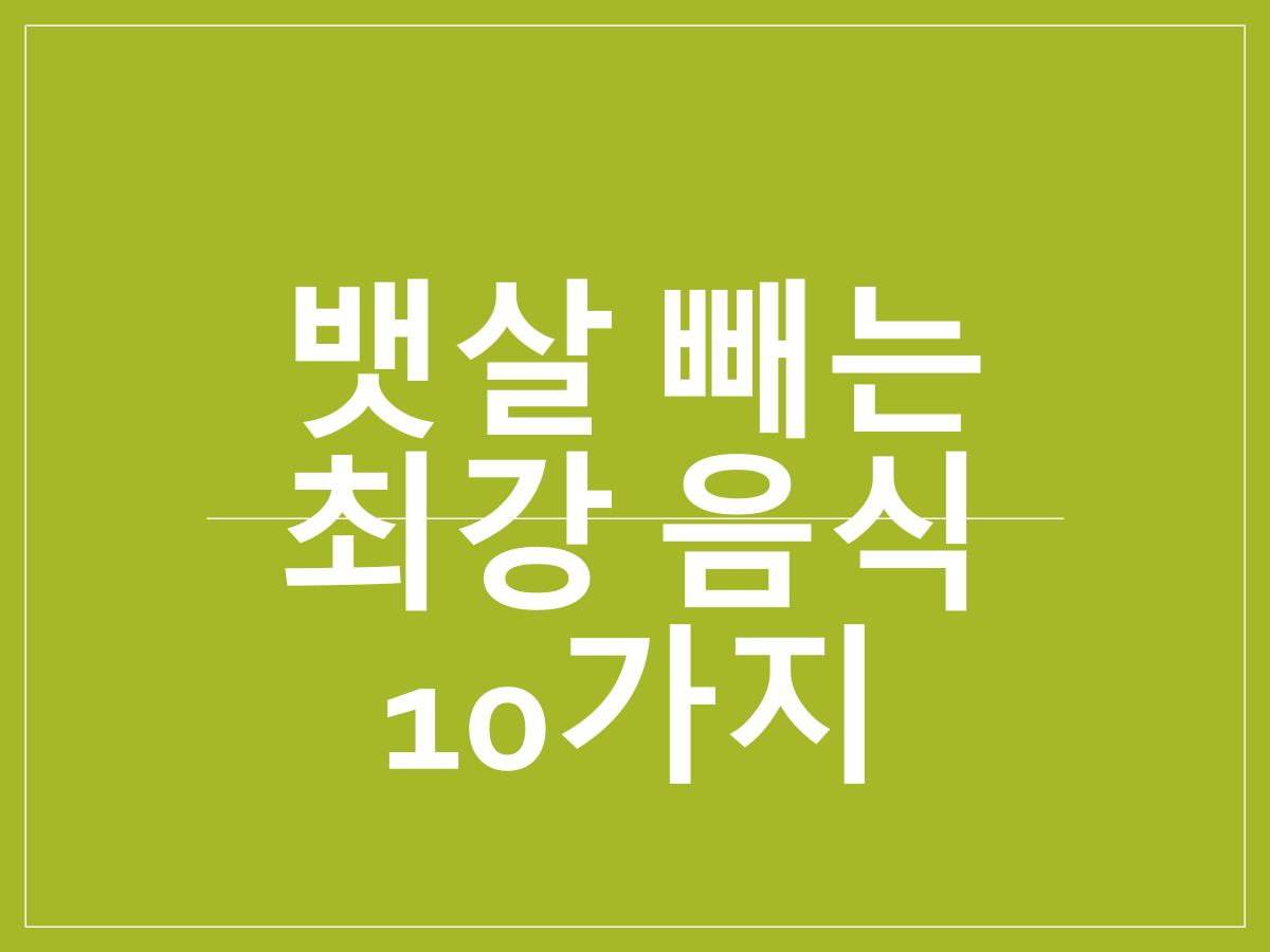 뱃살 빼는 최강 음식 10가지｜내장지방 태우는 천연 지방분해제