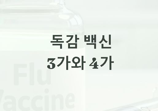 독감 백신 3가 4가 차이