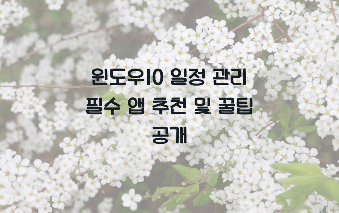 윈도우10 일정 관리 필수 앱 추천 및 효율적 사용법