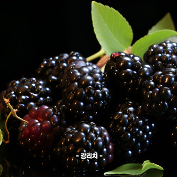 복분자 재배방법