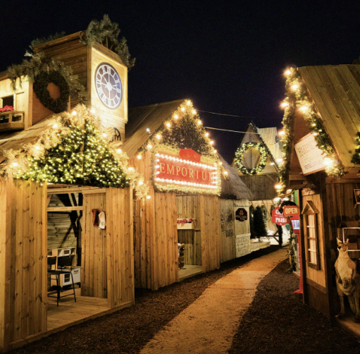 국내 크리스마스 여행