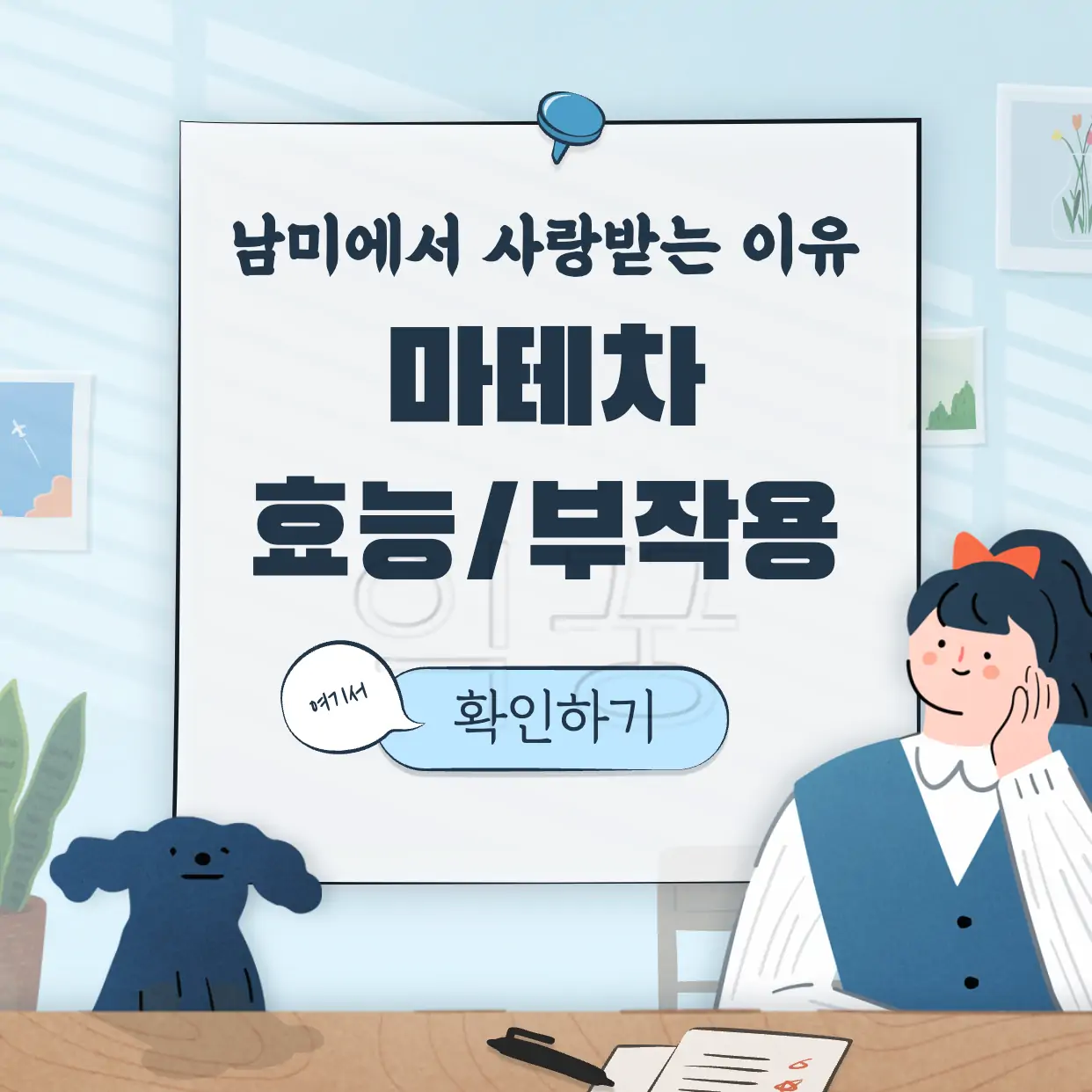 마테차 효능 표지