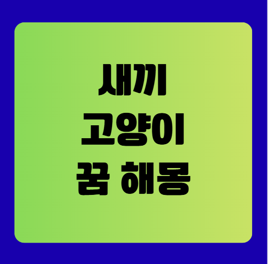 새끼 고양이 꿈 해몽 풀이(고양이 꿈 해몽 풀이, 무료꿈해몽풀이)