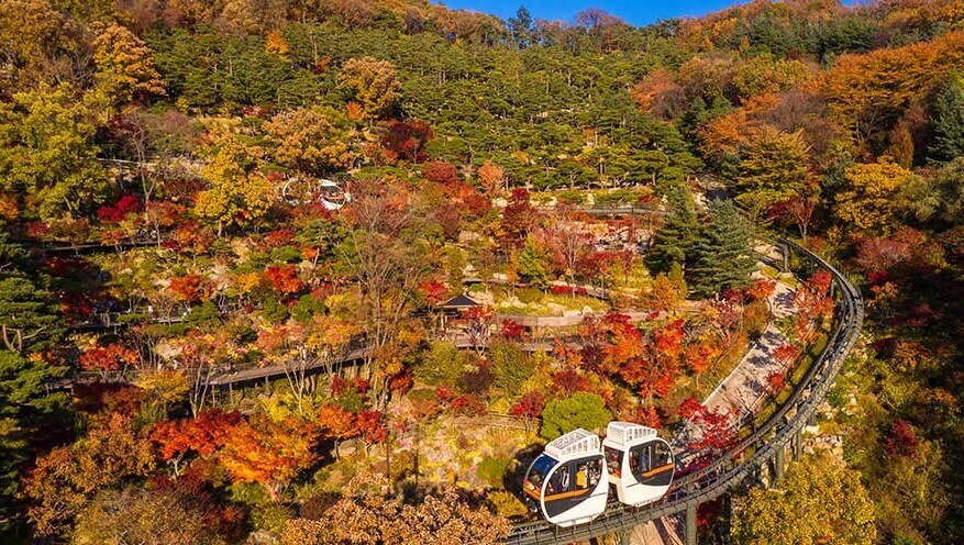 모노레일이 단풍든 화담숲을 지나는 풍경