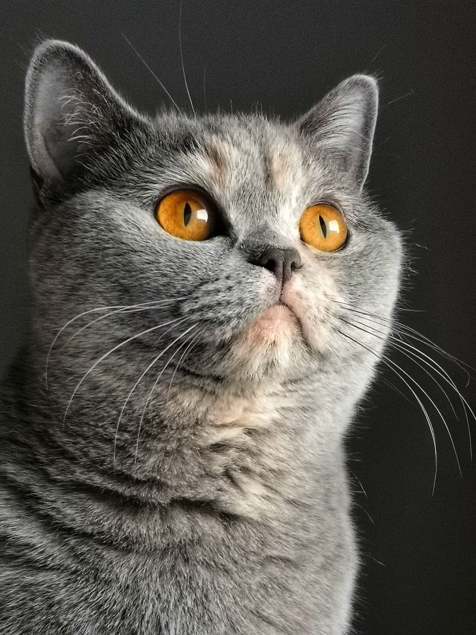 기본 정보