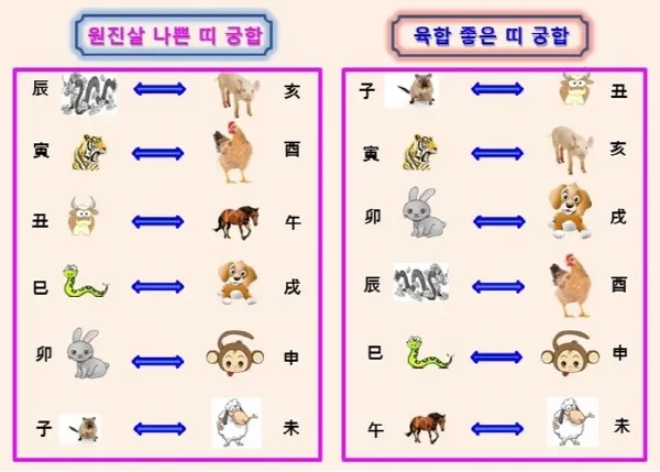 소띠 돼지띠 결혼 띠궁합으로 보는 사랑과 궁합 이야기_1