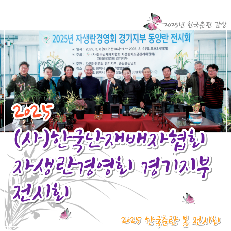 2025 한국춘란 봄 전시회 중..