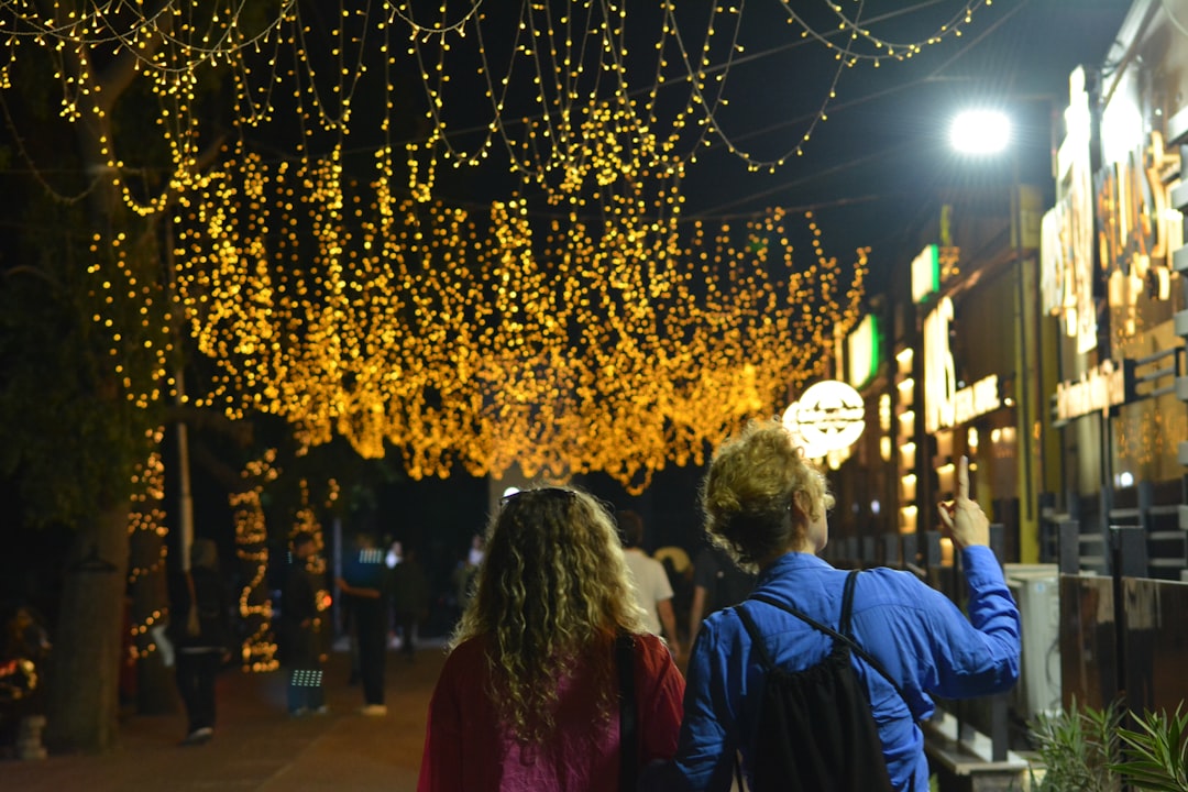 Seoul Light Festival