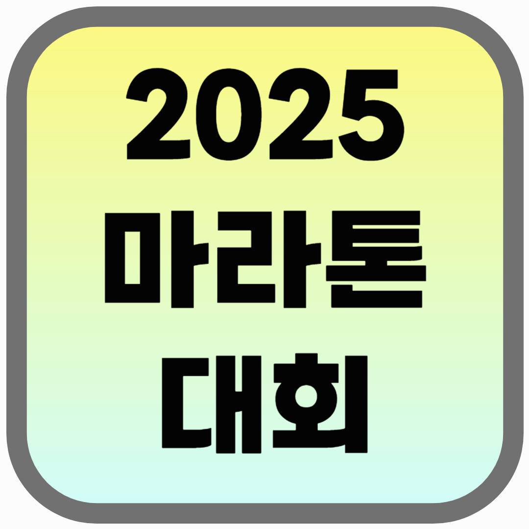 3.1절 마라톤 대회 일정(2025년)