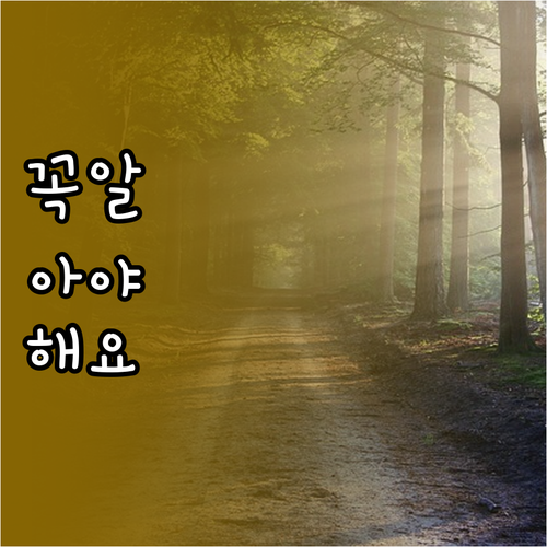 응급 상황 대비! 비상약 핵심 품목과..