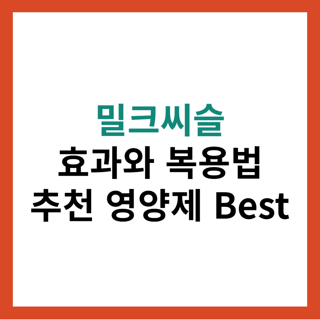 밀크씨슬 효과와 복용법! 간 건강을 지키는 효과 좋은 밀크씨슬 추천