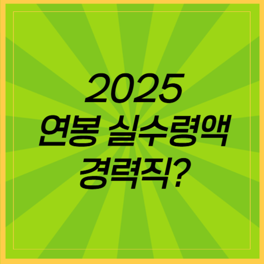 2025 연봉 실수령액, 경력직의 연봉 실수령액은 얼마?