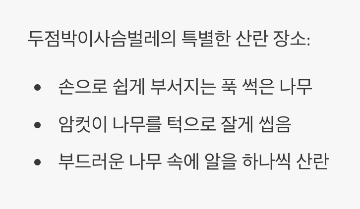 성공의 열쇠&amp;#44; &amp;#39;산란 해체목&amp;#39;의 비밀