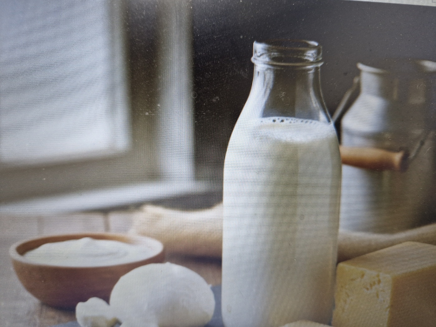 강아지 영양제 대신 화식으로 대처 법