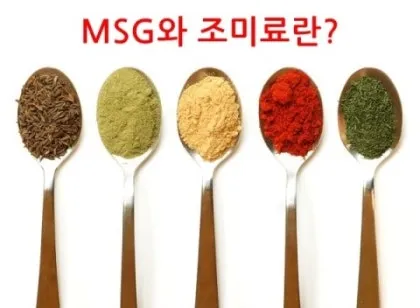 msg 란_3