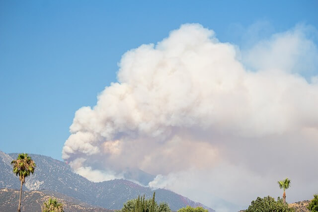 산불감시원 지킴이 급여 자격조건 신청방법