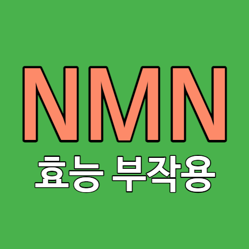 NMN 효능 부작용