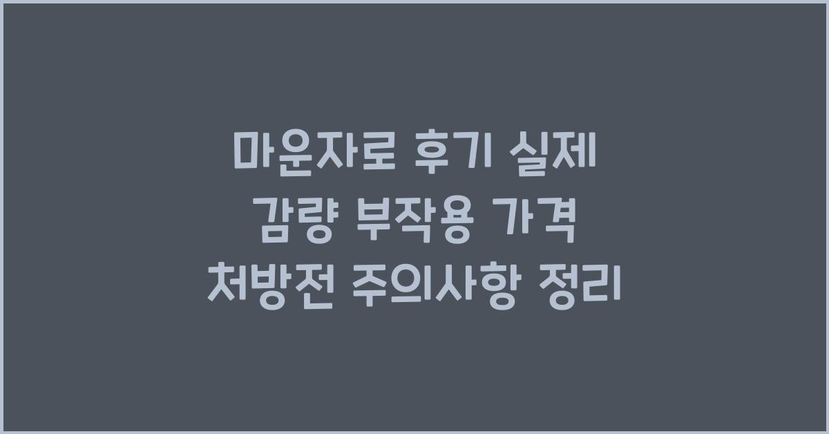 마운자로 후기