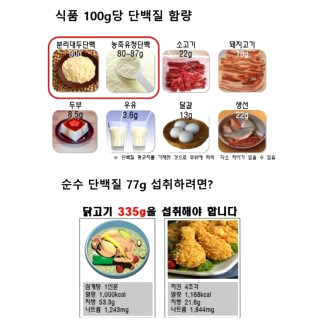 단백질 많은 음식 효능 효과 