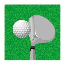 드라이버 샤프트 강도 선택