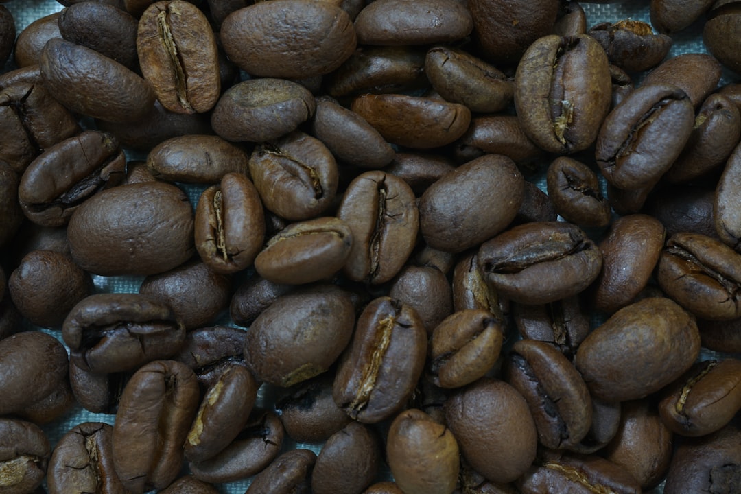 Used coffee grounds