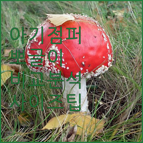 여아 아기점퍼 뽀글이 플리스 디자인 ..