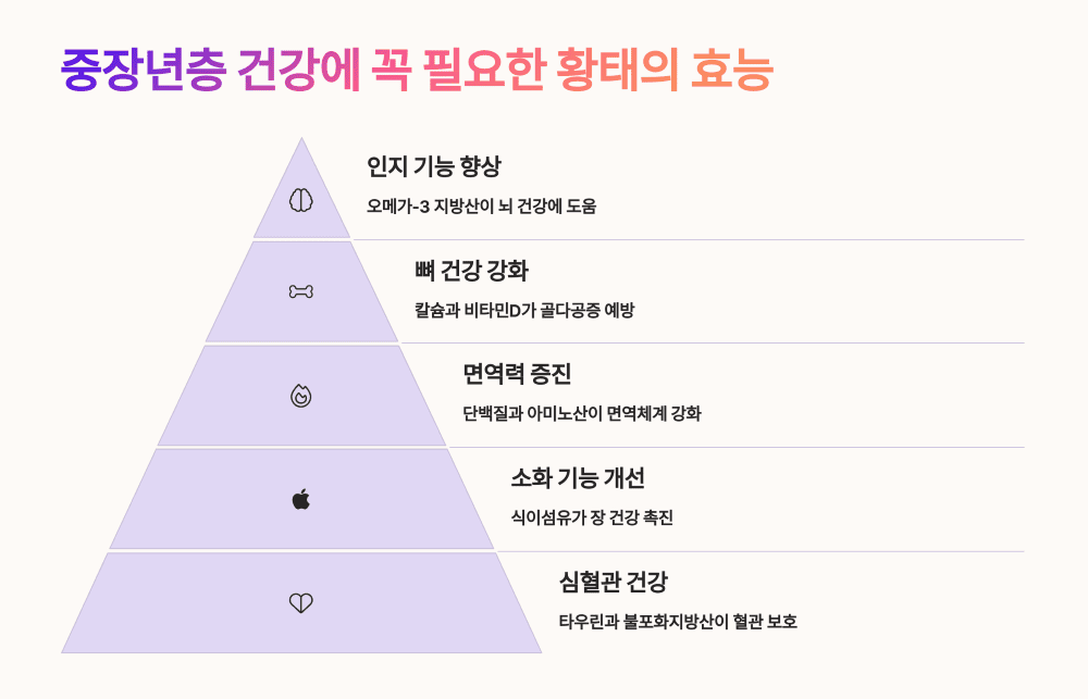 중장년층 건강에 꼭 필요한 황태의 효능