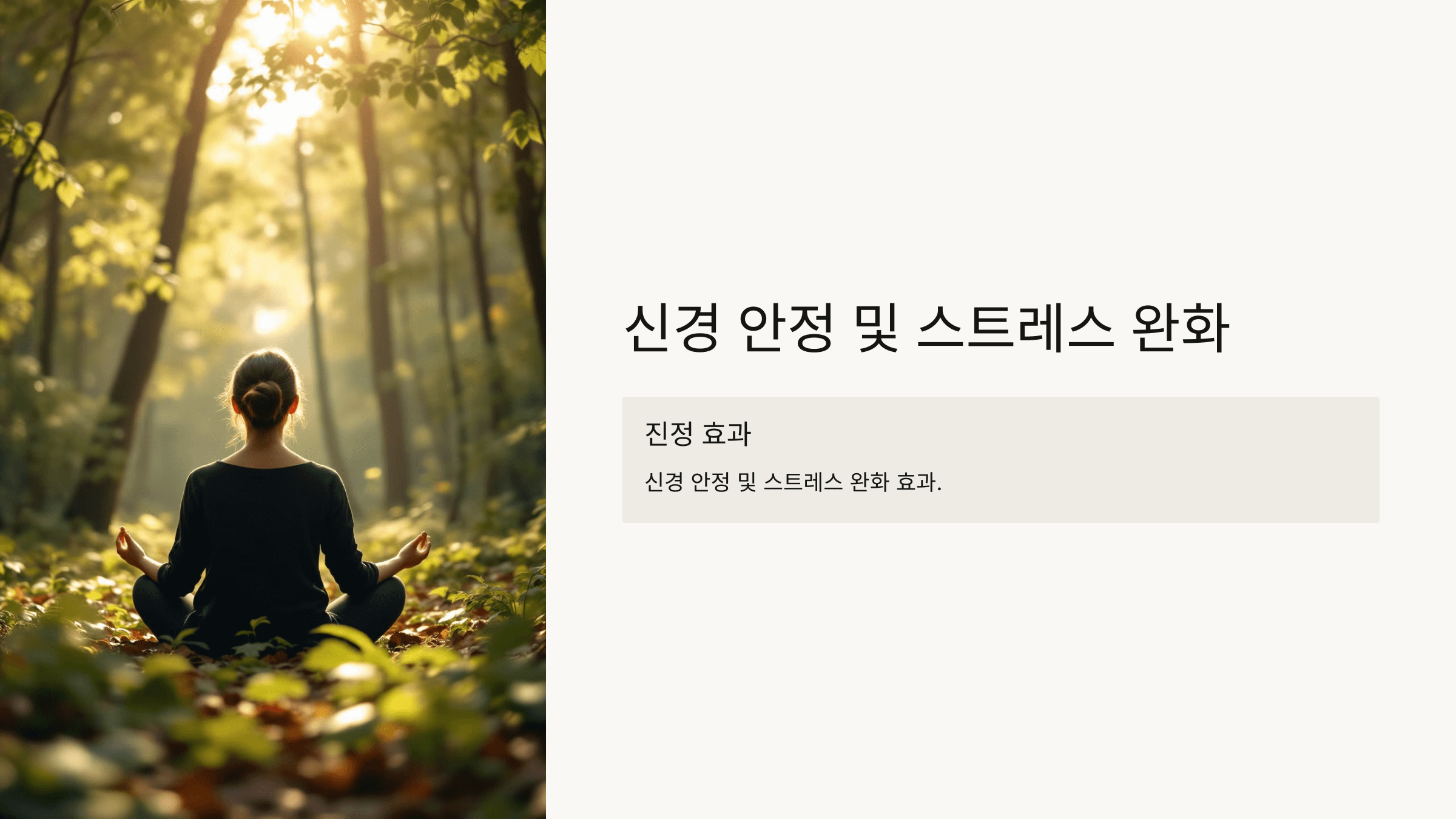 마가목 열매 사진입니다.