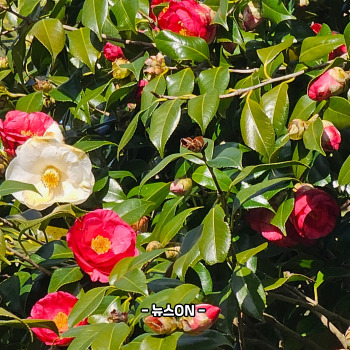 제주도 12월 가볼만한곳 10곳