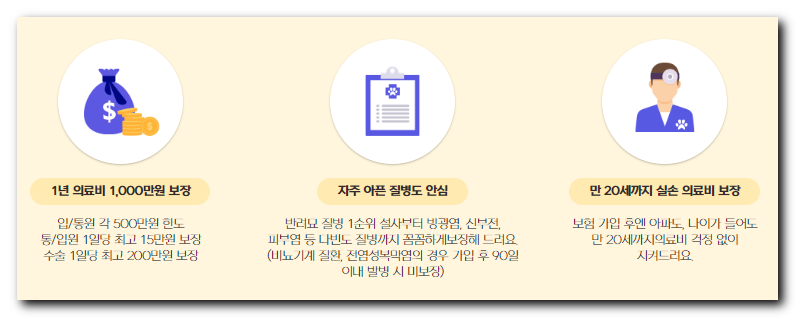 메리츠-펫보험-고양이보험