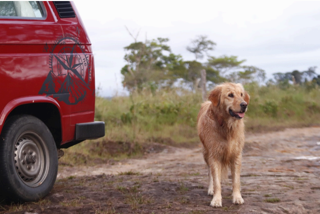 가족과 함께 실천하는 한국형 슬로우 라이프 프로젝트
