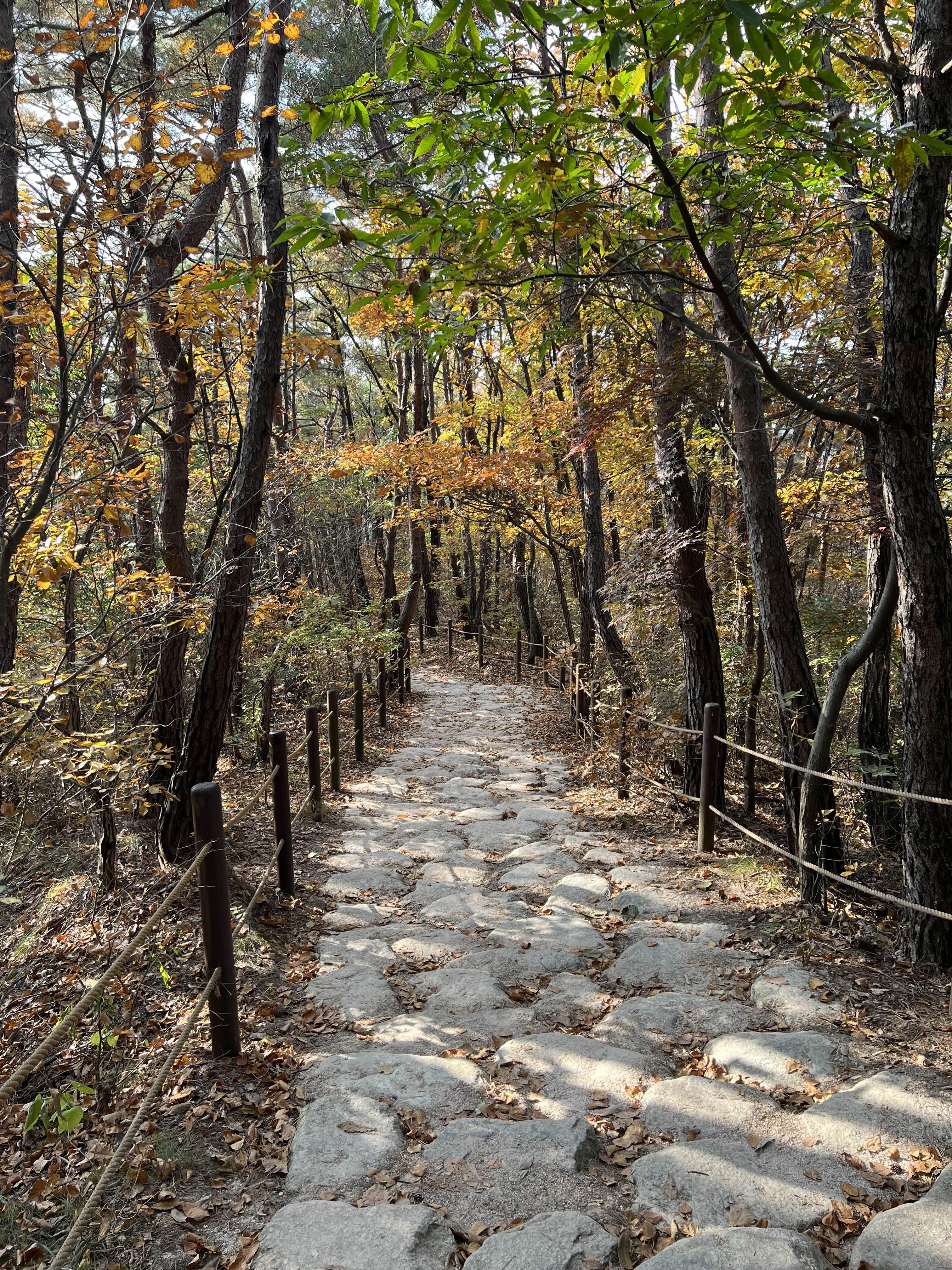 북한산 둘레길 하산