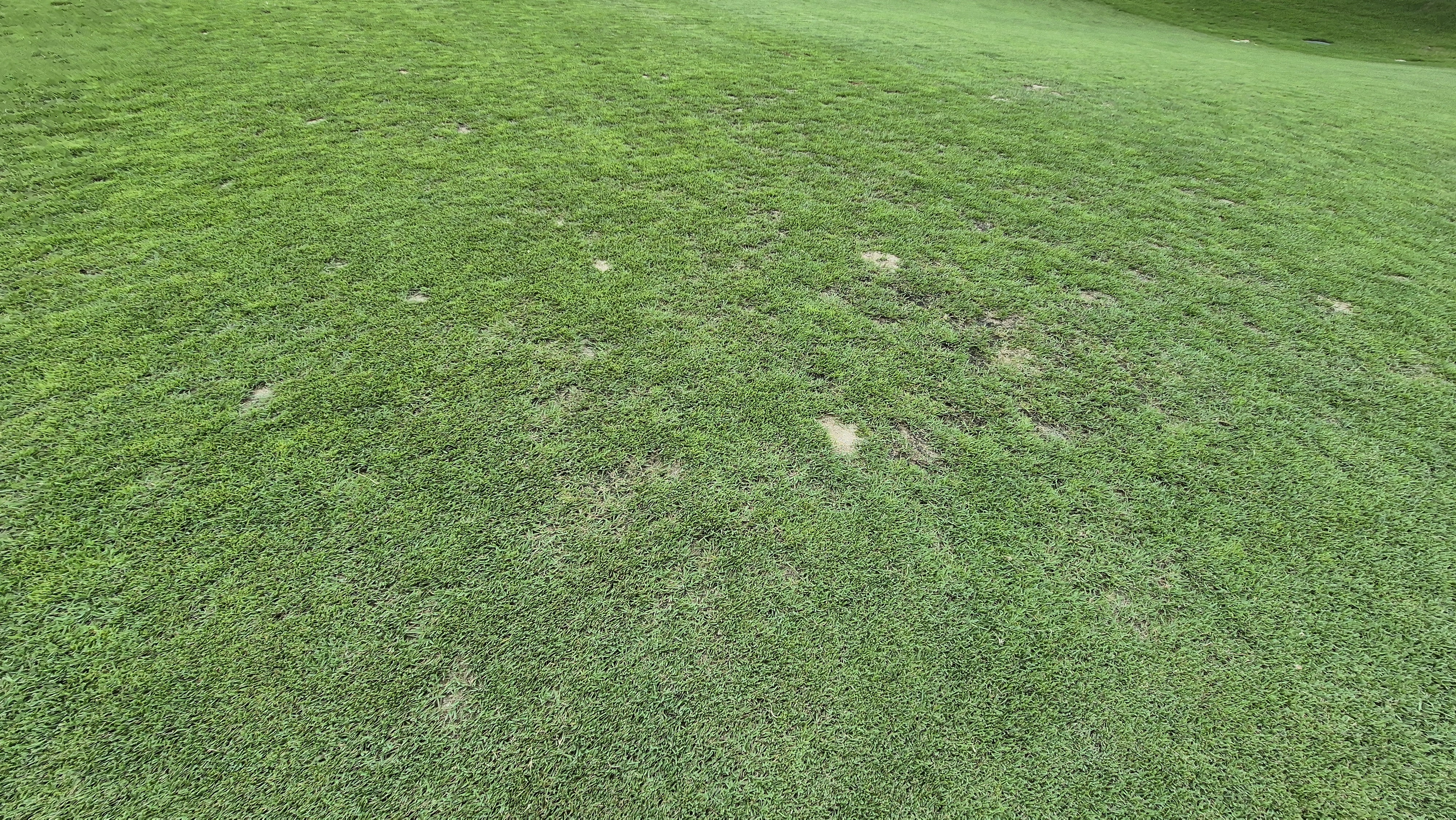 참밸리cc 라운드 후기