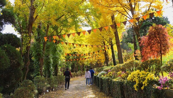 2024 베어트리파크 단풍축제 예매