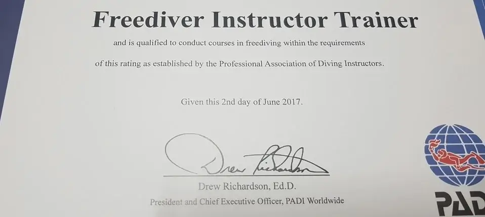 프리다이빙-자격증