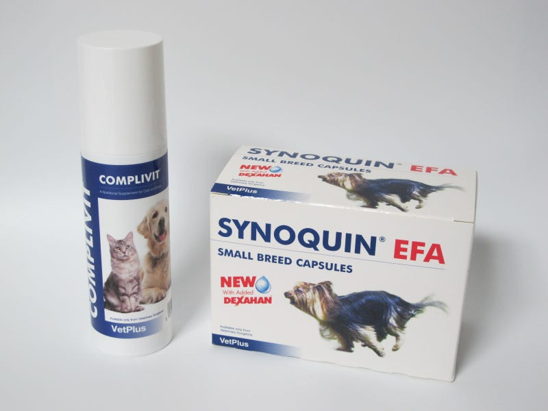 강아지슬개골 약품