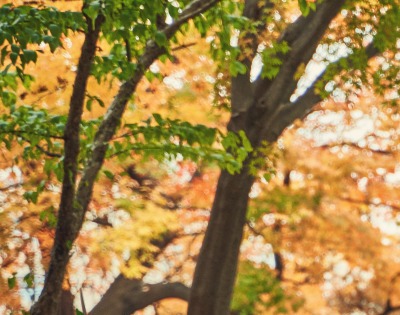 지방간 없애는 방법