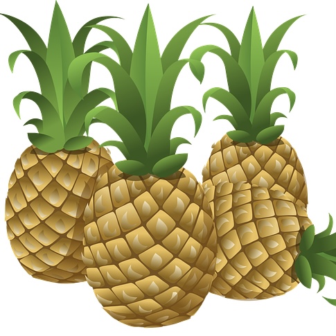 pineapple1