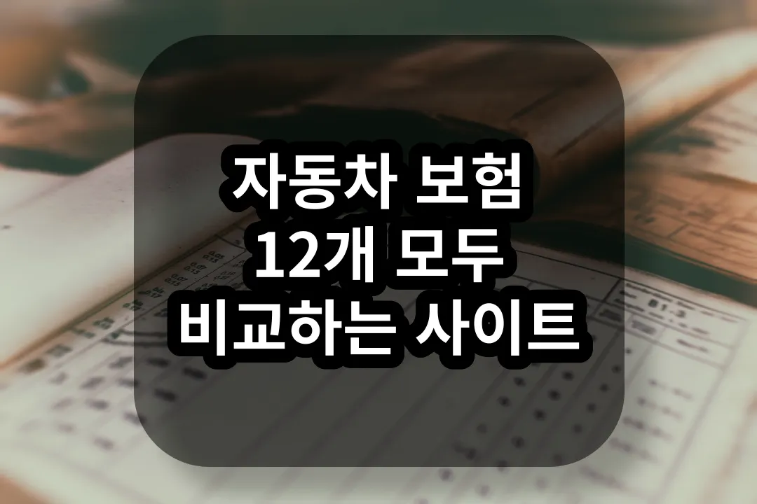 자동차 보험 비교 견적 사이트