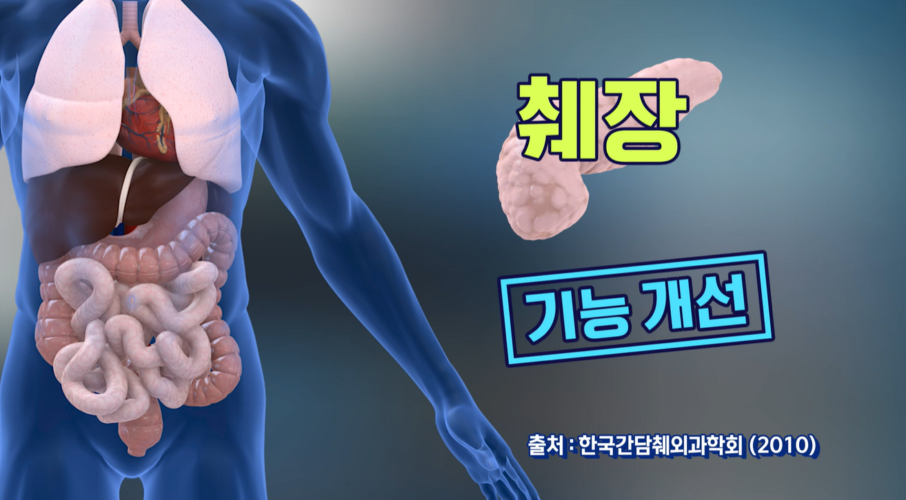 저분자 발효효소 효능